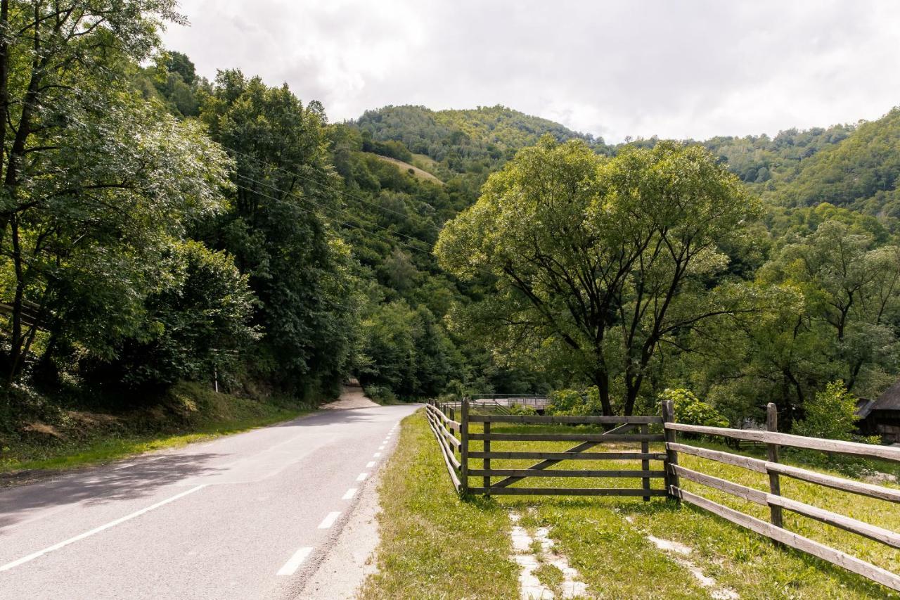 Vila Rodica Transalpina Şugag Exteriör bild