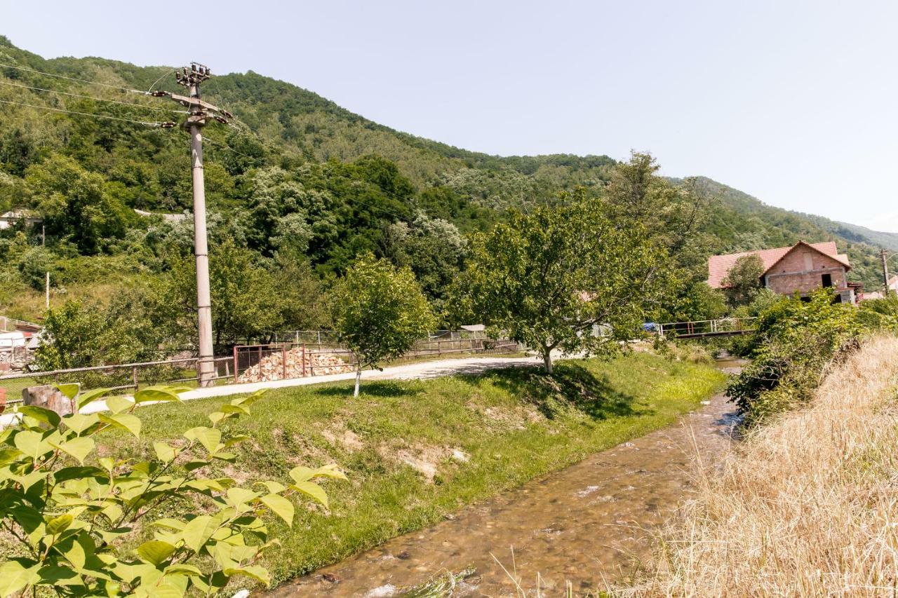 Vila Rodica Transalpina Şugag Exteriör bild